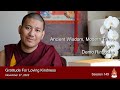 Gratitude For Loving Kindness - Dharma Moments with Demo Rinpoche -