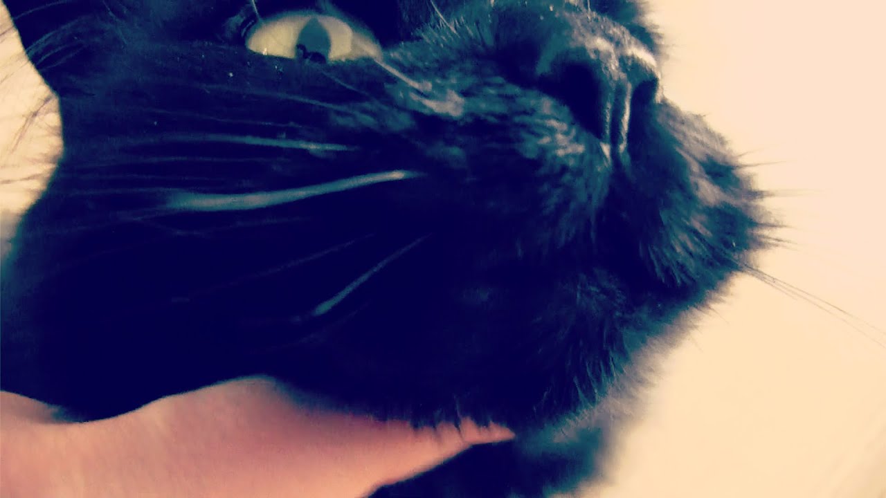 Vlog 211 ❤ Te donkere foundation | Beautygloss