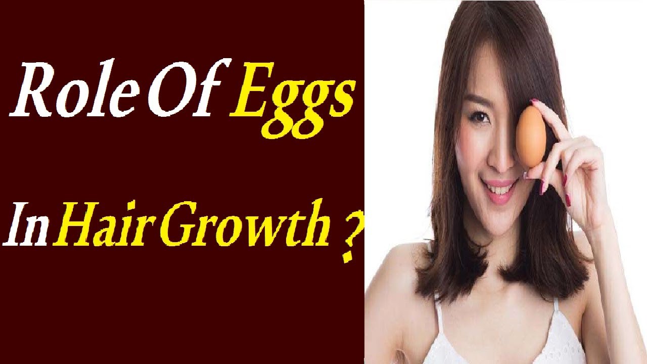 benefits of eggs for hair growth benefits of egg for hair dr zunair