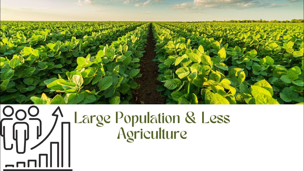 Less Population Less Noise Large Population & Less Agriculture - YouTube