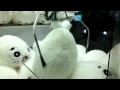 UFOキャッチャー ゴマちゃんぬいぐるみ