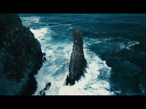 R3DN1K - Frailty