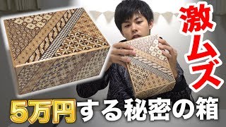 【賞金ゲット】73個の仕掛けがある秘密箱あければご褒美をあげると言った結果…！？