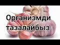 Организмди тазалайбыз | Пайдалуу кенештер