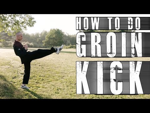 How To Do Groin Kick Beginner Kicking