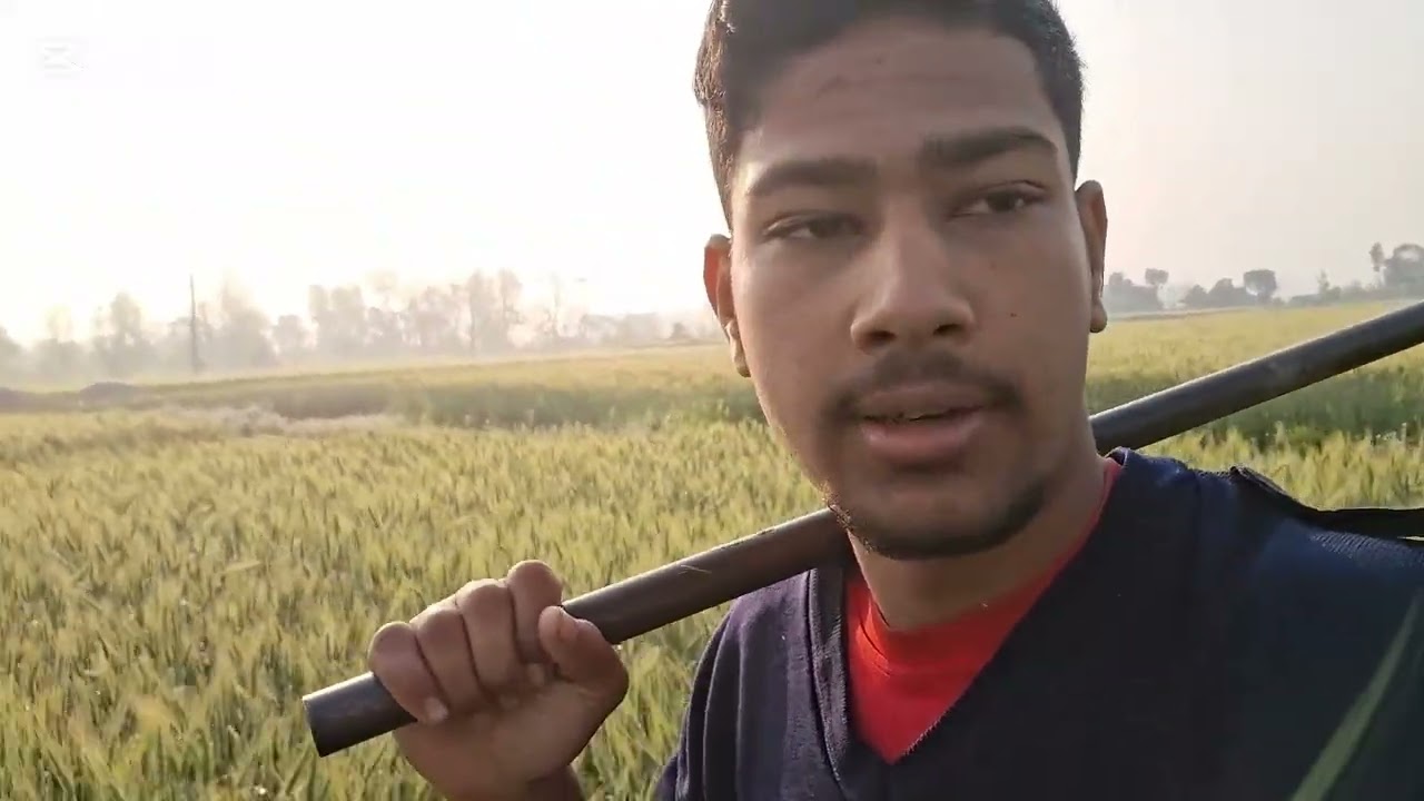 Goray vai sigma boy ani hari vai sanga kura kani