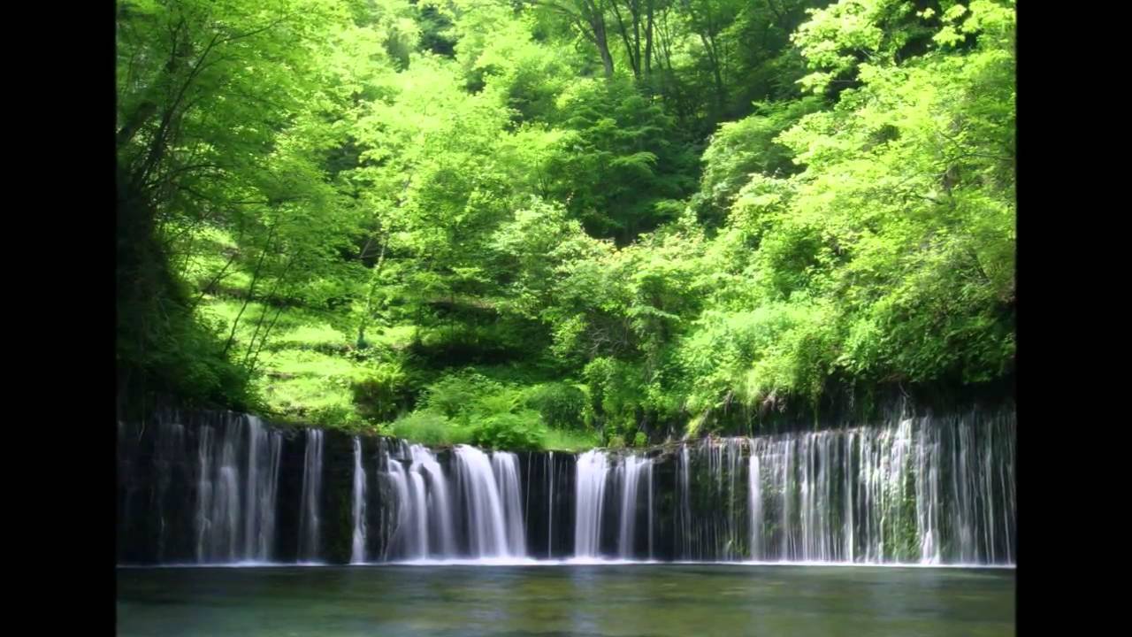 King Együttes - Szőke lány