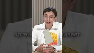 Почему в МЕНОПАУЗЕ появляется ЖИВОТ?