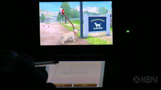 3Ds Nintendogs - Walking The Dog Footage.