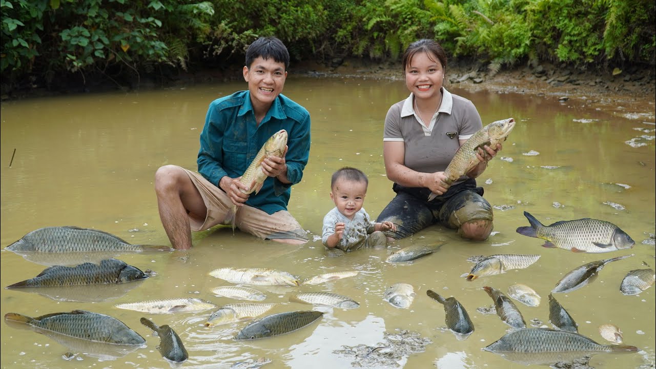 How to catch giant fish in the mud during the rainy season with wife ...