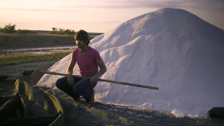 REVAMPING AN ABANDONED SALT MARSH