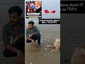 telegram bend 😭 #comedylovervlog #funny #dogaggression #comedy #comedyforever