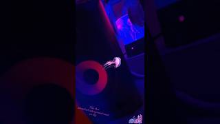 Beat I made #housemusic #deephouse #techno #techhouse #musicproducer #dj #deepsea #edm #producer