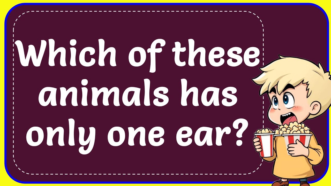 Which of these animals has only one ear? Correct - YouTube