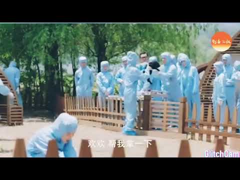 مسلسل تزلج في الحب