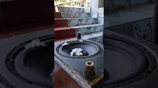 Bose 12 Inch China Speaker Flexing Insane B Test