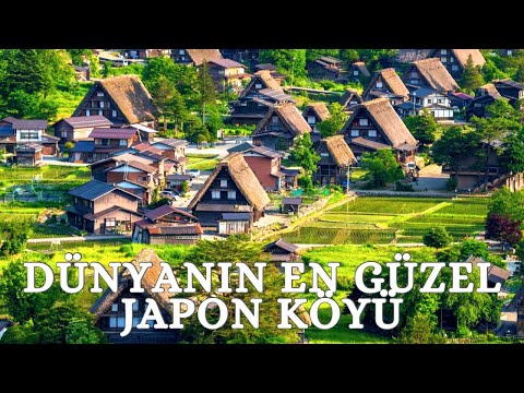 Video: En güzel Japon