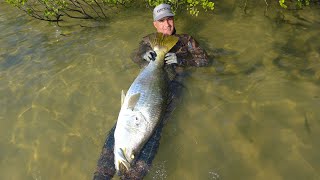 When a Good Plan Comes Together Day 2: Chasing Monster Fish in North Queensland