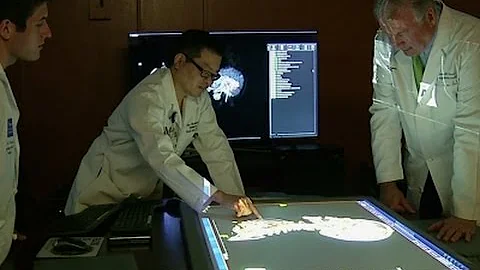 Houston Doctors Use 'CAVE' to Navigate Patients