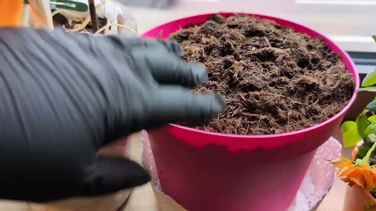 У меня началось весенние обострение🤣.