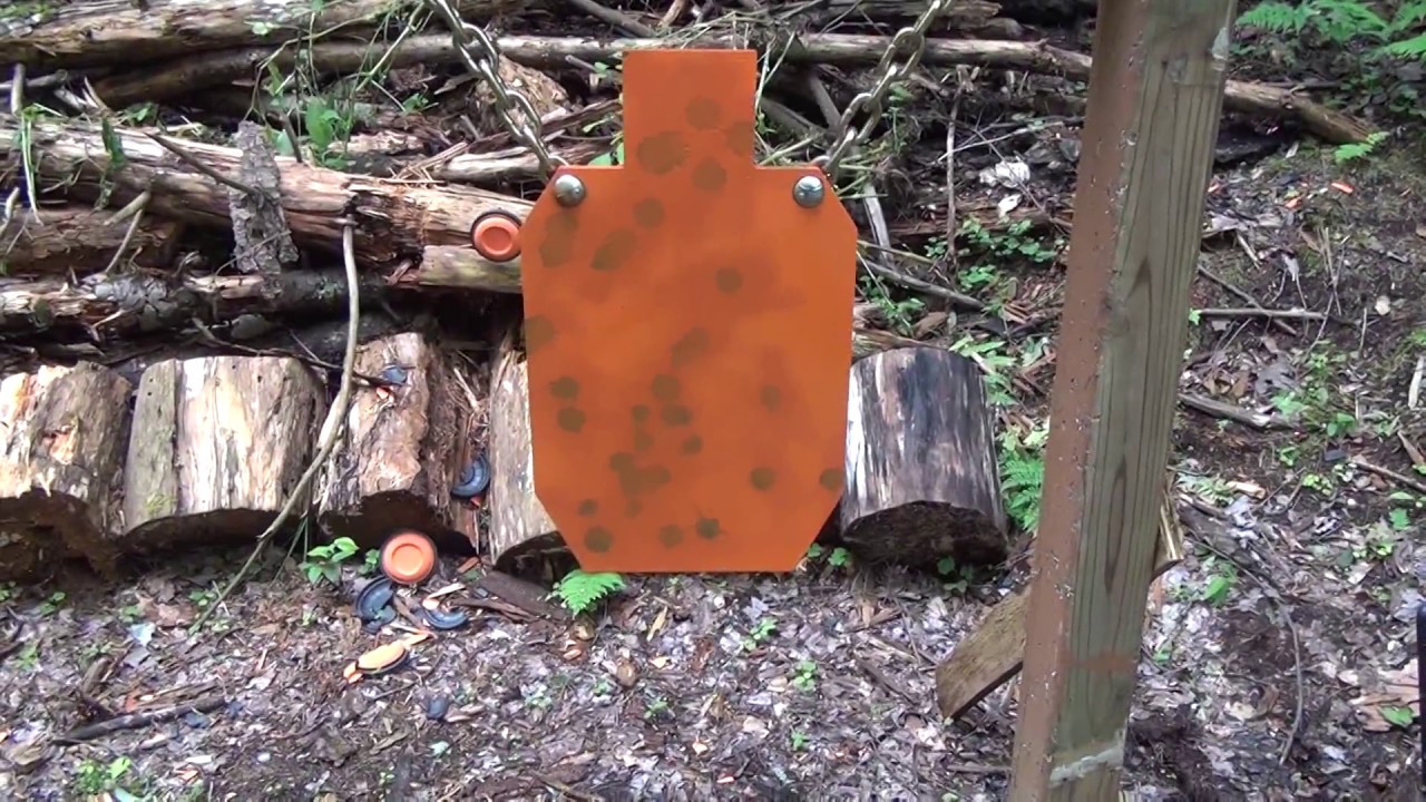 Taylor Targets Mark 2 - Tactical Show