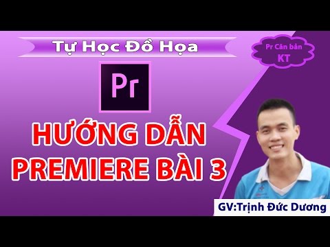 Hướng dẫn sử dụng Adobe Premiere cho người mới bắt đầu | Bài 3 | Tự Học Đồ Hoạ