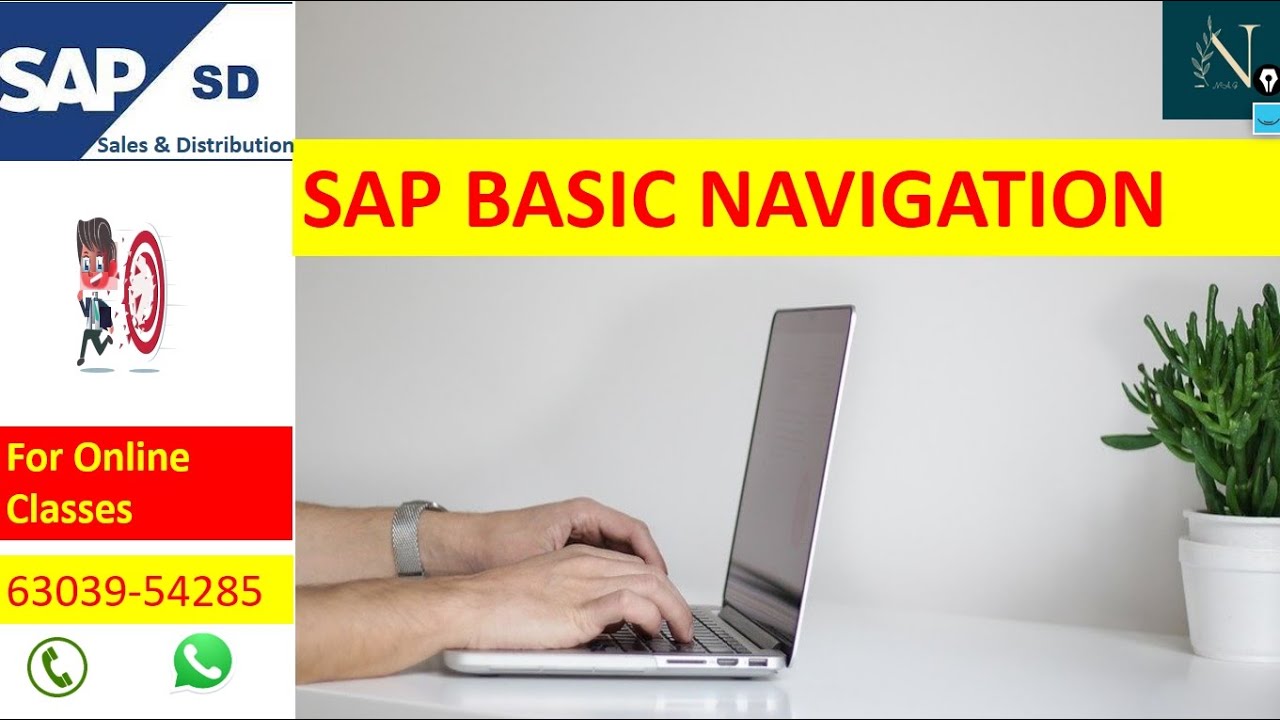 SAP SD Telugu & English- SAP Screen Basic Navigation 