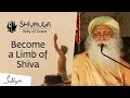 Shivanga  way of grace  become a limb of shiva