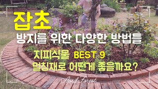 잡초방지를 위한 다양한 방법들 ㅣ 지피식물 best 9 ㅣ멀칭재의 종류