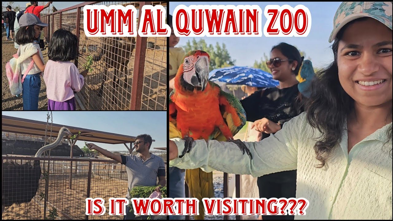 Umm Al Quwain zoo complete walking guide in malayalam | The zoo wildlife park - Umm Al Quwain |
