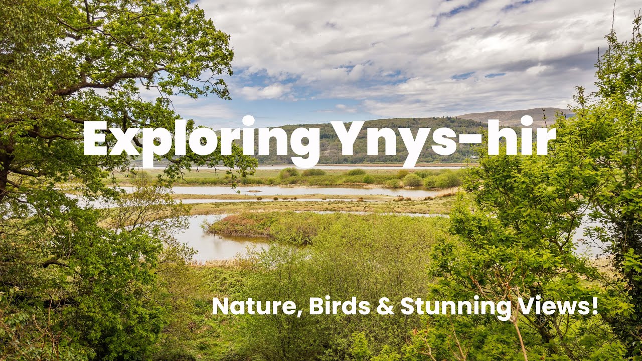 RSPB Ynys-hir: Stunning Birds & Welsh Scenery! Birdwatching & Photography Day Trip