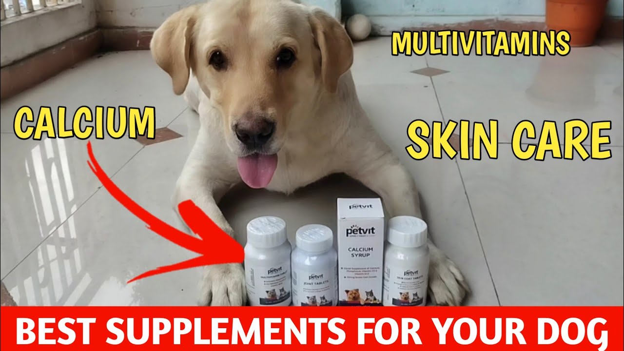 Best Supplement For Dogs /best brand / Dog calcium and multivitamins