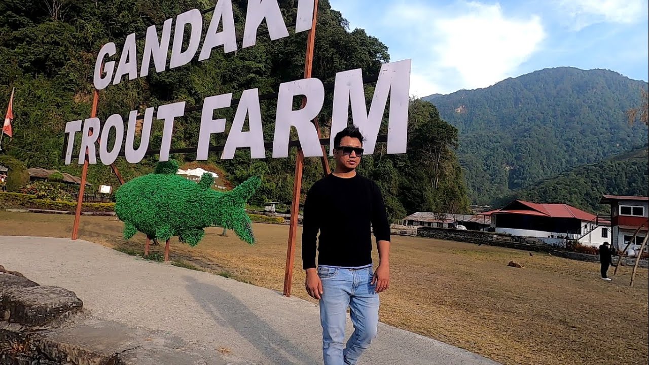 South Asia's Biggest TROUT FISH FARMING In Pokhara // Nepal YouTube