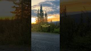 Land of the midnight sun 💛 #alaska #summer #camping #nature #peaceful