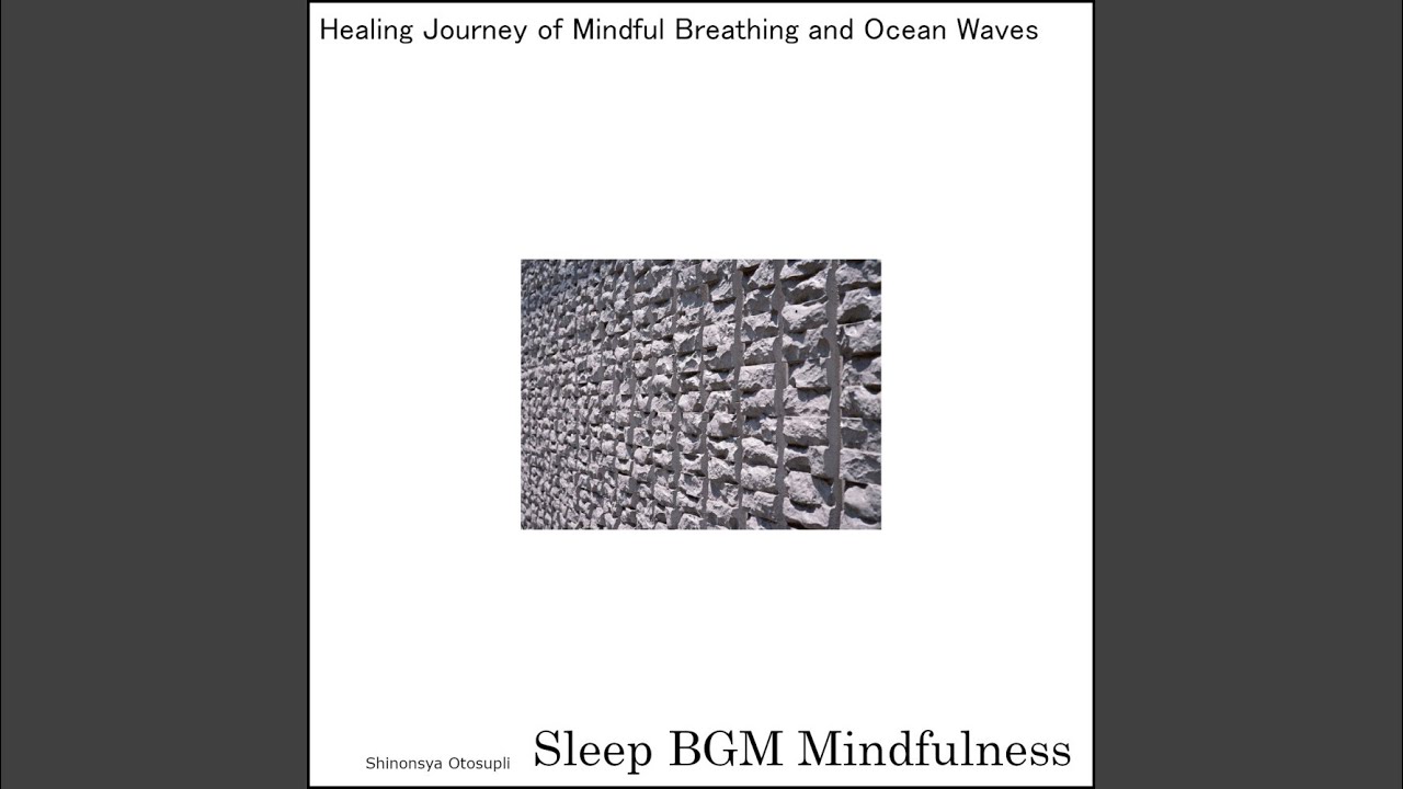 Sleep Aid Soundscapes for The Soul