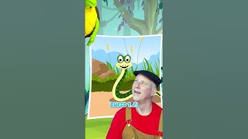 Did You Know Snakes Can’t Hear?