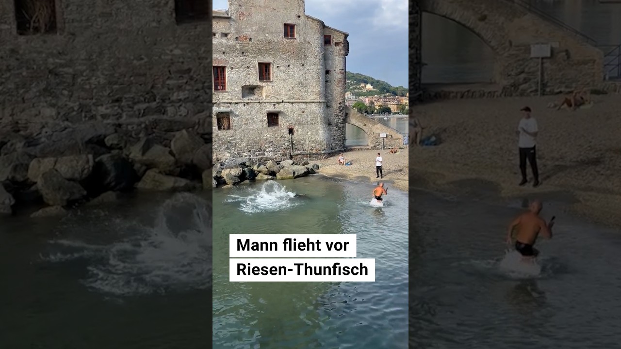 Mann flieht vor Riesenfisch