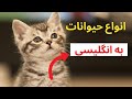 کلمات انگلیسی حیوانات به انگلیسی