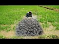 Catching &amp; Catfish at Rice Field - Amazing Fishing Big Giant Catfish By Hands