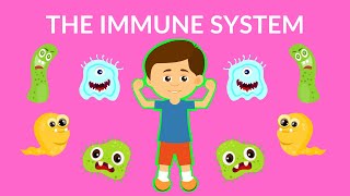 The Immune System Video  | How to boost your Immunity  | What is immune system and its function?
