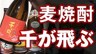 【麦焼酎】千が飛ぶをレビューしてみました しっかり麦の味！