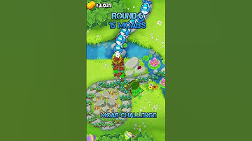 MOAB Challenge Round 6 - 2-5-0 Druid Monkey