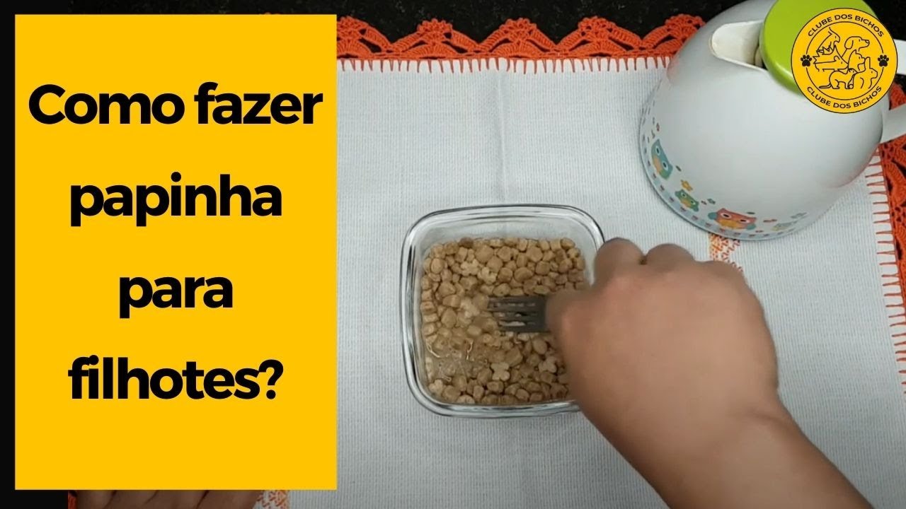 COMO FAZER PAPINHA de rao para filhotes com 20 dias 30 dias e 45 dias comer