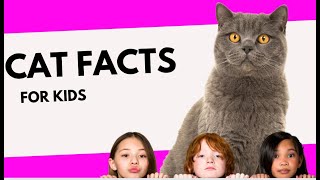 Cat facts for kids #dothis #catbelly  #catowner by Cat Supplies 2 views 9 days ago 2 minutes, 16 seconds