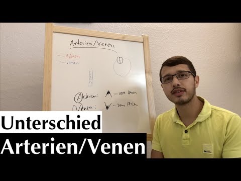 Video: Was ist der Unterschied zwischen der Tunica media in Arterien und der Tunica media in Venen?