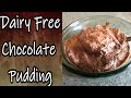 Dairy Free Chocolate Pudding (Raw, Organic, Vegan, Sugar Free)