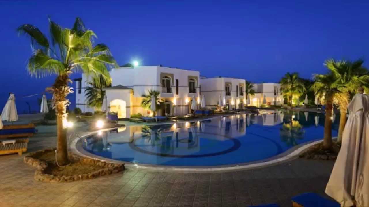 Amphoras blu resort 4. Verginia Sharm Hotel 4 Египет. Amphoras Beach (ex. Shores Amphoras) 5*. Отиум отель Шарм-Эль-Шейх. Отель Amphoras Aqua 4 Шарм-Эль-Шейх.