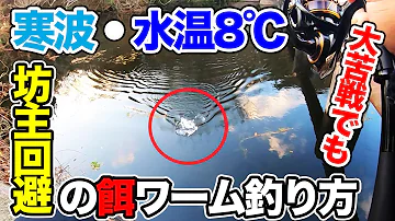 実釣編 真冬のバス釣りでボウズだけは避けたい そんな時に使える最終兵器的なワーム リグを実釣 解説します バス釣り ラージマウスバス 野池 川 12月 1月 2月 Mp3