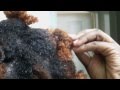 40| Natural Hair: Coloring my Tips/Dip Dye