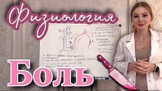 картинка: Физиология| Боль | Лемнисковая  и Экстралемнисковая система|